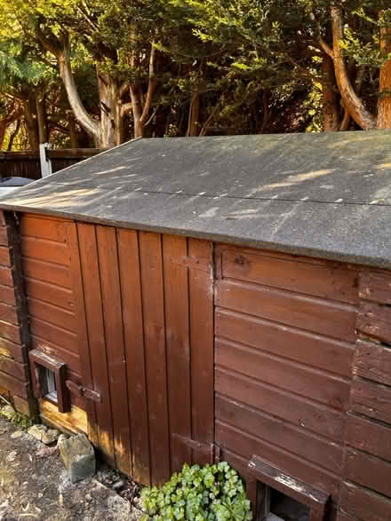 Photo of free Large dbl dog kennel & shed (Preston PR2) #2