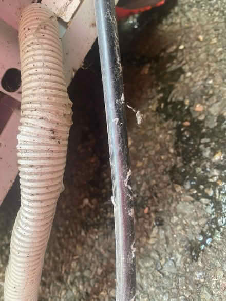 Photo of free Bosch Dishwasher need new wastepipe (CW2) #3