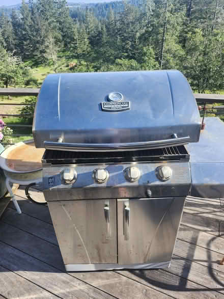 Photo of free Barbecue (near Occidental X Furlong) #1