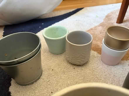 Photo of free Various plant pots (Dennistoun G31) #2