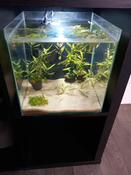 Photo of Fishtank (Marchwood SO40) #1