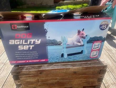 Photo of free Dog agility set (Windsor) #1