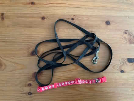 Photo of free XS dog harness, collar, leash (Alameda) #3