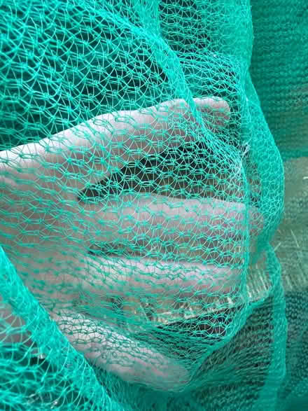 Photo of free Fine mesh (Chesterfield S42) #2