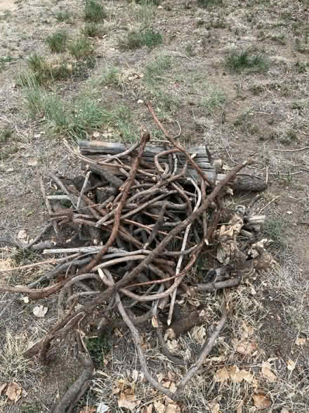 Photo of free Firewood/kindling (Smoky Hill Rd & Tower Rd) #3
