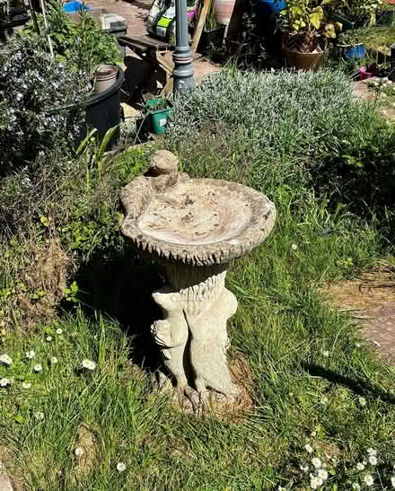 Photo of free Bird bath (BS10) #1