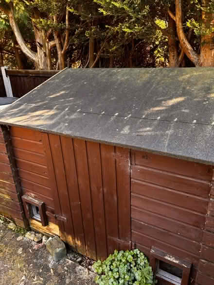 Photo of free Large dbl dog kennel & shed (Preston PR2) #1