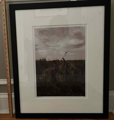 Photo of free Framed Photo (Broomall 19008) #1