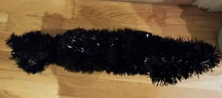 Photo of free Black Halloween cat (Elmers End BR3) #2