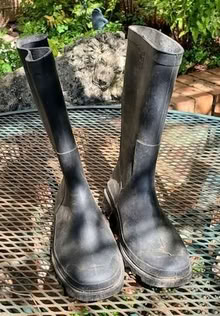 Photo of free Pair of Wellington Boots size 5 (St Albans AL1) #1
