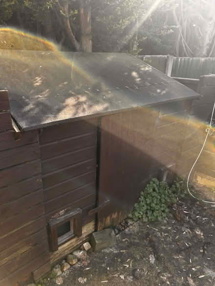 Photo of free Large dbl dog kennel & shed (Preston PR2) #3