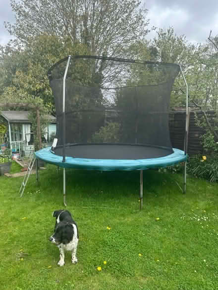 Photo of free 12ft jump king trampoline (Farnham) #4