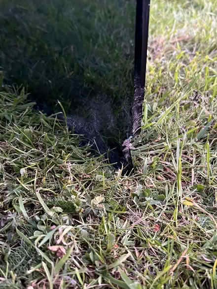 Photo of free Glass table (Connah's Quay CH5) #3