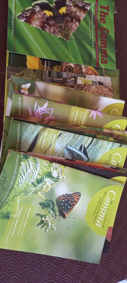 Photo of free Butterfly booklets (Dothill TF1) #1