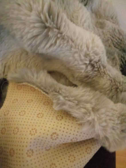 Photo of free Sofa cover (Willesborough) #2