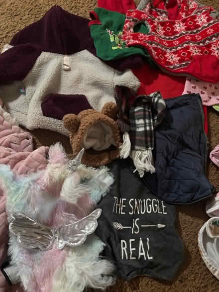 Photo of free Small dog items (Loganville) #2