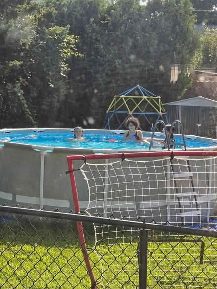 Photo of free Pool..above ground (New Rochelle) #1