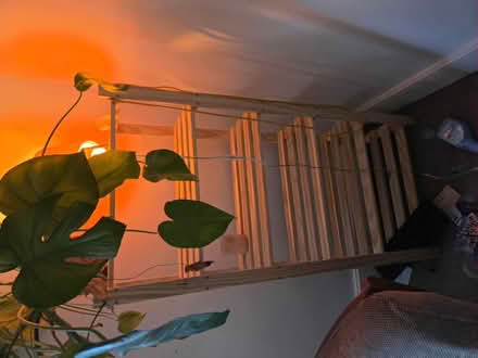 Photo of free Wood shelves (King's cross road Wc1x 9db) #1