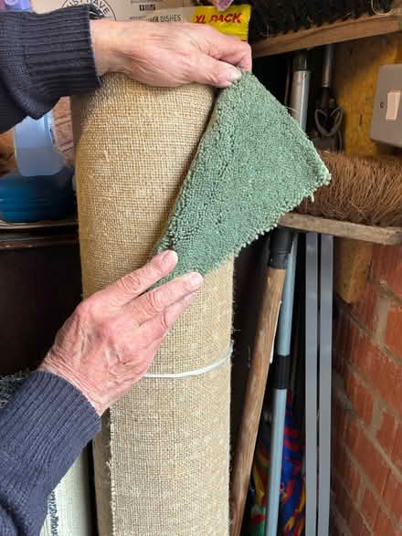 Photo of free Carpet (Newby. YO12) #1