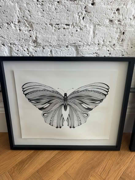 Photo of free Conran M&S Butterfly Prints (Mottingham, SE9 4SN) #3