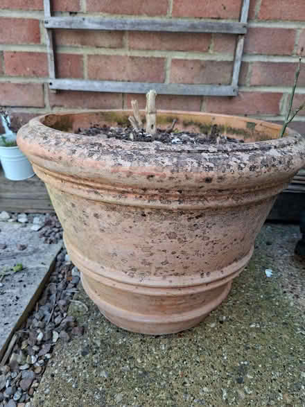 Photo of free Large terracotta pot (Hatfield AL10) #3