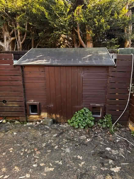 Photo of free Large dbl dog kennel & shed (Preston PR2) #4
