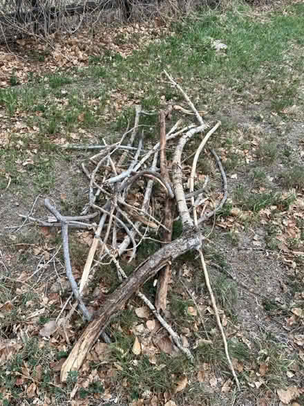 Photo of free Firewood/kindling (Smoky Hill Rd & Tower Rd) #2