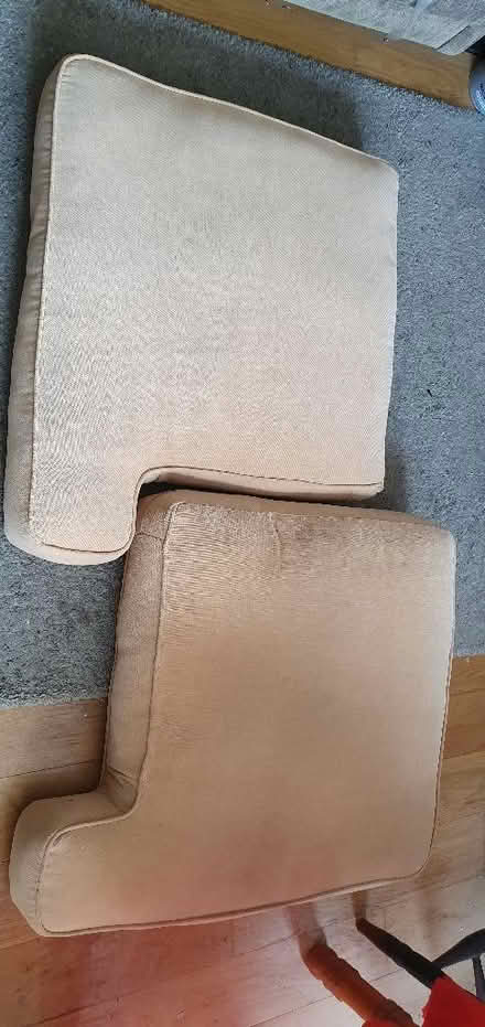Photo of free Large Sofa cushions (Hartington Road BN2) #1