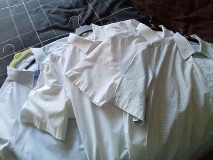 Photo of free Mens used short sleeve shirts (Binfield RG42) #1