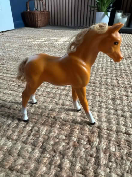 Photo of free Horse (Hadlow TN11) #1