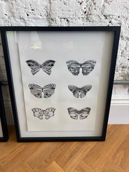 Photo of free Conran M&S Butterfly Prints (Mottingham, SE9 4SN) #2