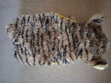 Photo of free Hot Water Bottle Cover (Kingsway BA2) #2