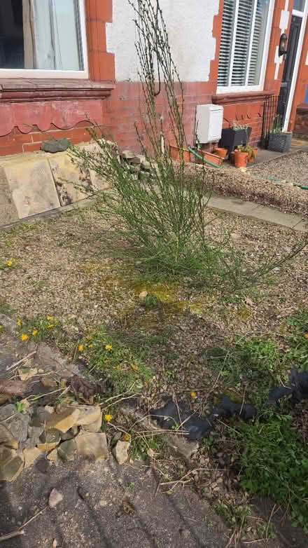 Photo of free Gravel/Hardcore PR5 Higher Walton (Higher walton PR5 4HD) #4