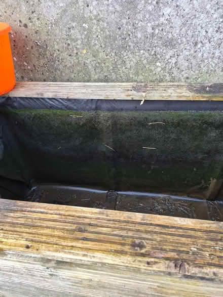 Photo of free Fish tank (Trewoon) #3