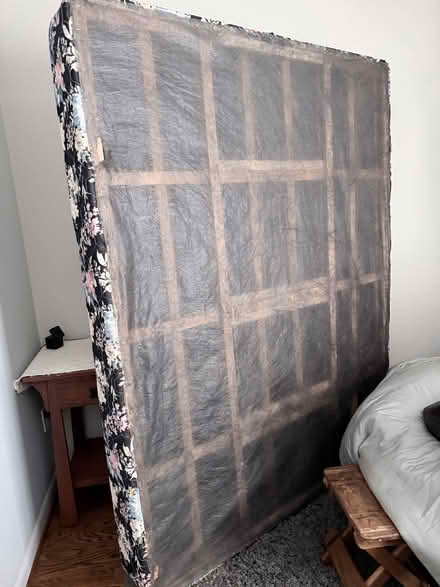 Photo of free Serta Queen Box Spring (Wayne PA) #3