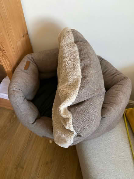 Photo of free Pet bed (Pagham PO21 4) #2