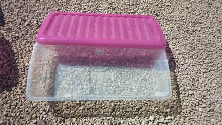 Photo of free Under bed storage boxes (Barnacle CV7) #3