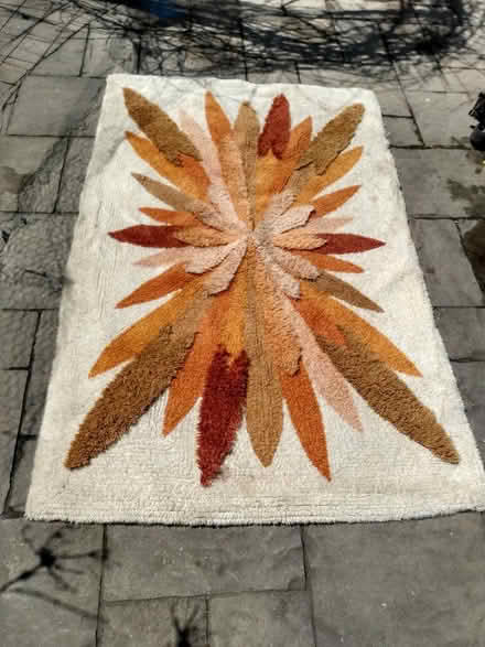 Photo of free Rug (Near Baseline Rd. & Clyde Ave.) #1