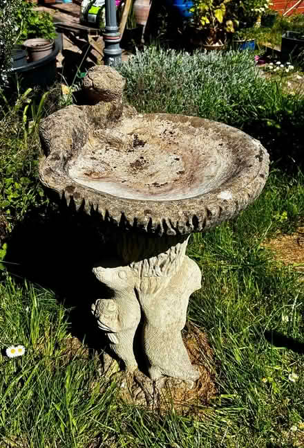 Photo of free Bird bath (BS10) #2