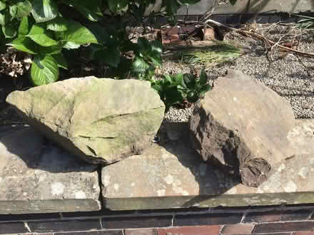 Photo of free Rockery stone (Banner Cross S11) #2