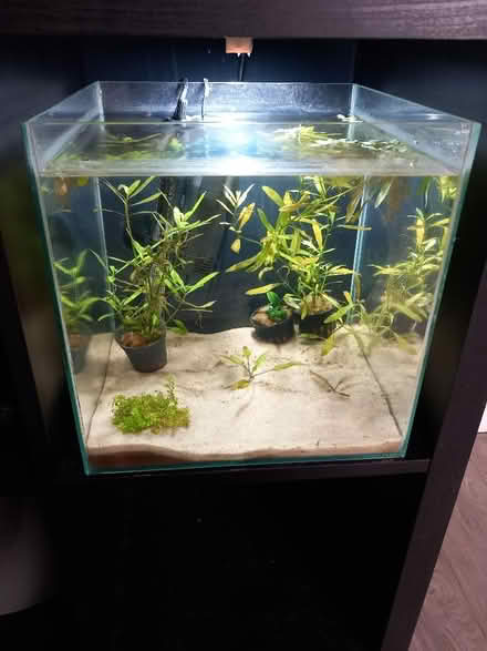 Photo of Fishtank (Marchwood SO40) #1