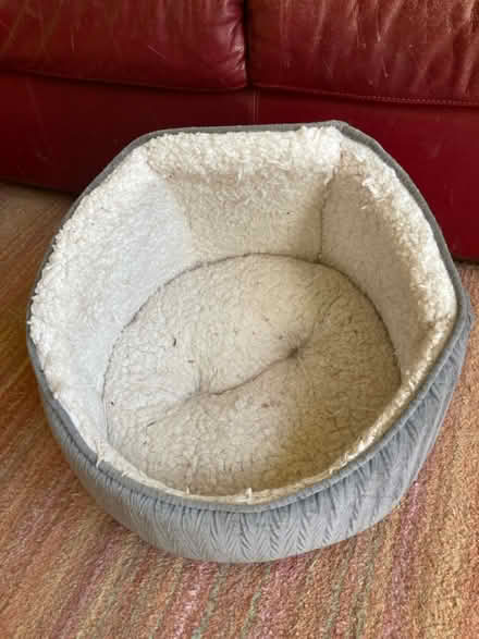 Photo of free More cat related stuff (Fishponds) #2