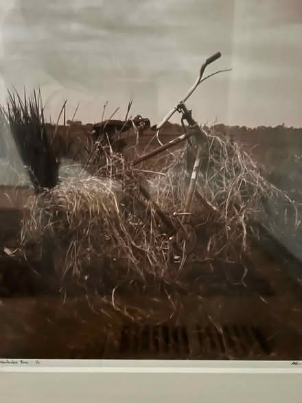 Photo of free Framed Photo (Broomall 19008) #2