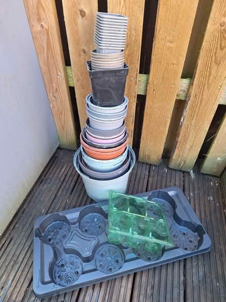 Photo of free Plant pots (Spondon Derby) #1