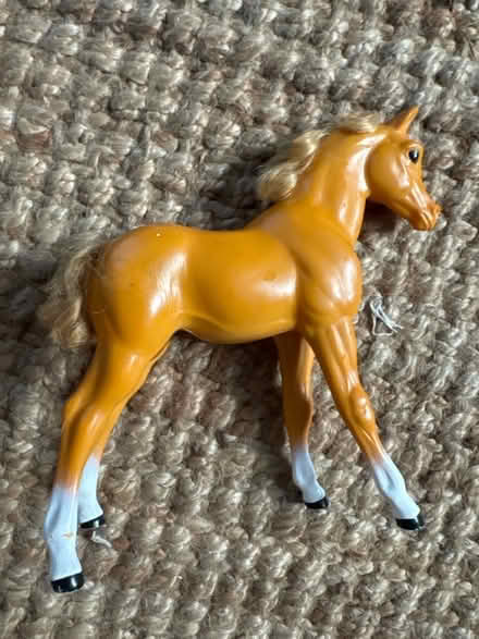 Photo of free Horse (Hadlow TN11) #2