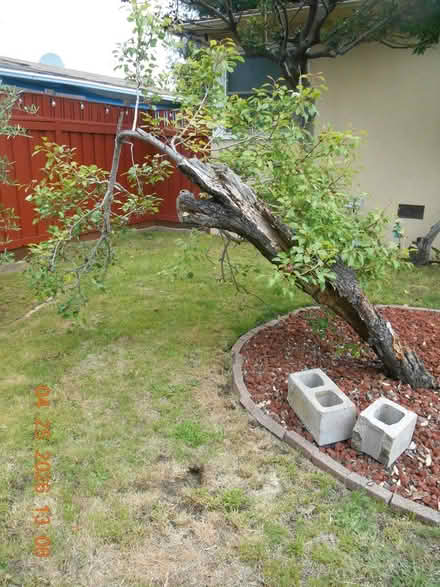 Photo of Posts or old 2X4 or 4X4 (Richmond) #1