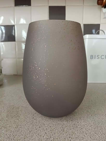 Photo of free Decorative vase (Napsbury AL2) #1