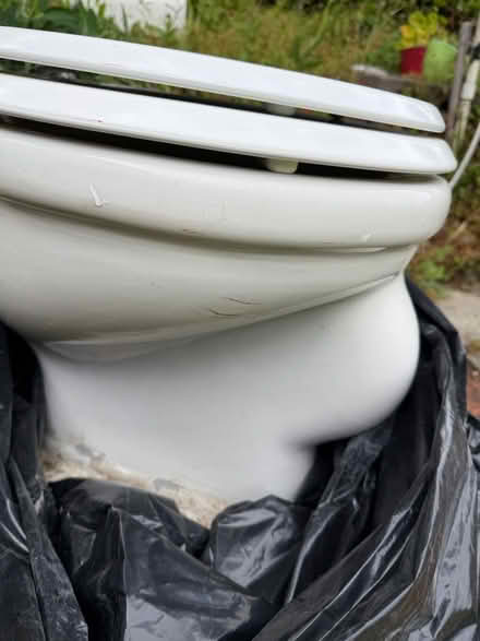 Photo of free Vintage toilet (Orinda) #2