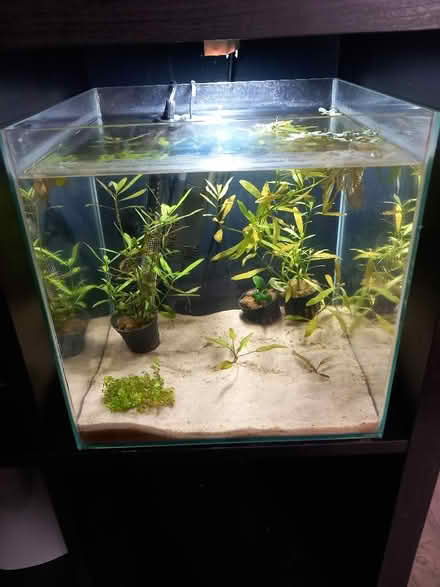 Photo of Fishtank (Marchwood SO40) #1