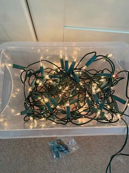 Photo of free White Christmas light set (Lee, SE12 8BZ) #1